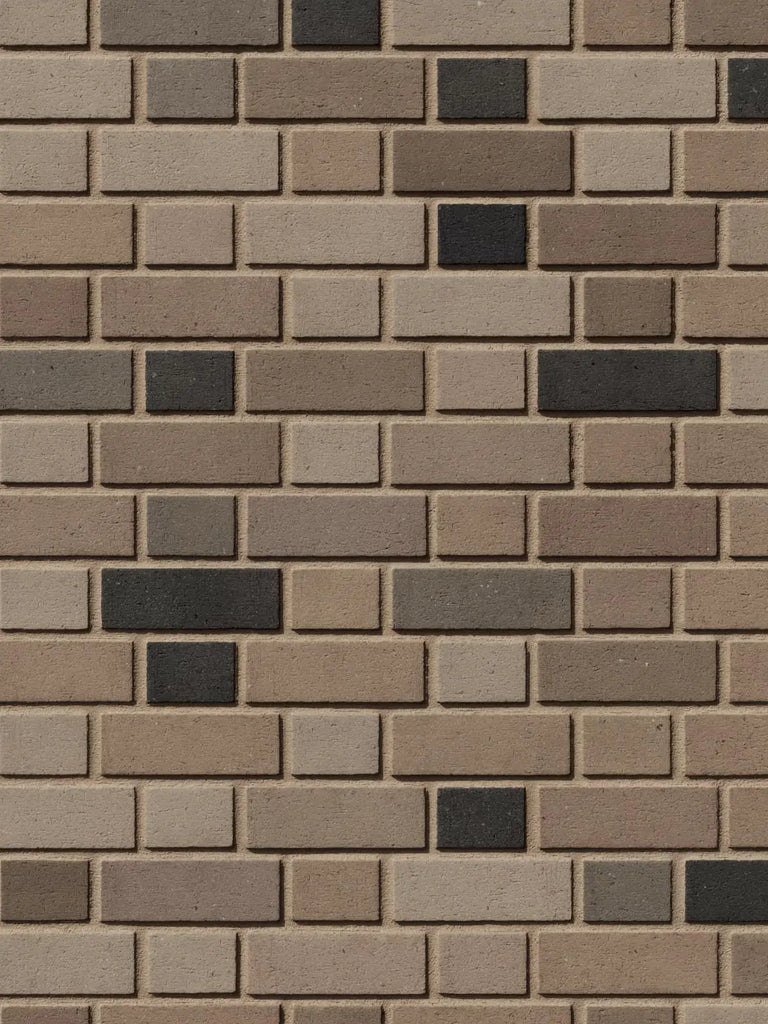 Slate Accent Architectural Flemish Bond Brick PBR Texture - Example Scene Visualization | Superellipse